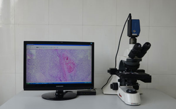 远程病理会诊工作系统
